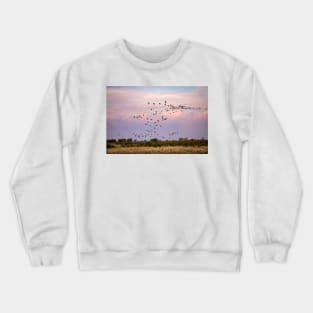 Morning Flight of the Sandhill Cranes by Debra Martz Crewneck Sweatshirt